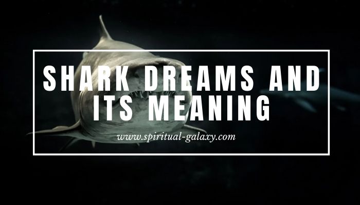 Shark Dreams and its Meaning: A Warning Of What?