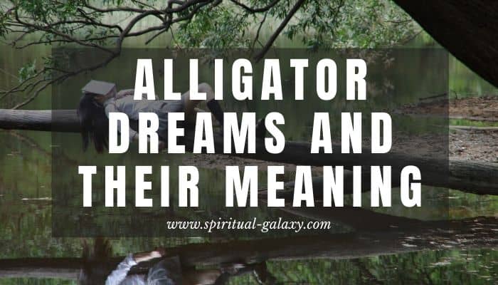 Alligator Dreams & Their Meaning: Always Guard Your Back