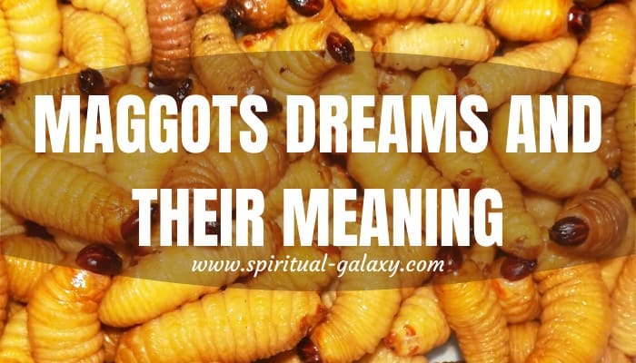 Maggots Dreams And Their Meaning: Something Positive Or Negative?