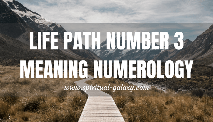 Life Path Number 3 Meaning: What Do They Excel At?