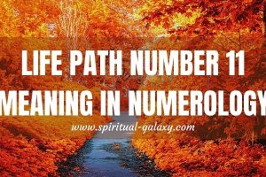 Life Path Number 11 Meaning in Numerology: AKA Master Number 11