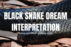 Black Snake Dream Meaning & Interpretation: Were You Afraid?