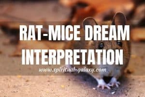 Rat-Mice Dream Meaning & Interpretation: Uncover The Meaning!