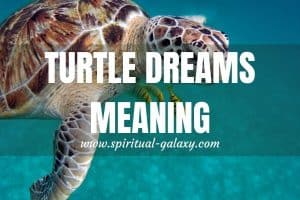 Turtle Dreams Hidden Meaning & Interpretation: 10+ Dream Scenarios