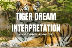 Tiger Dream Meaning & Interpretation: Interesting Dream!