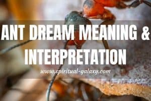 Ant Dream Meaning & Interpretation: Life's Daily Disturbances