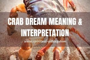 Crab Dream Meaning & Interpretation: Relationship Problem