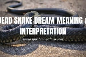 Dead Snake Dream Meaning & Interpretation: What To Overcome?