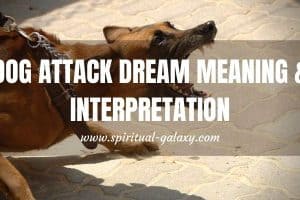 Dog Attack Dream Meaning & Interpretation: Do Not Run!