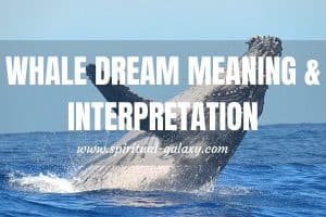 Whale Dream Meaning & Interpretation: Speak Up And Voice Out