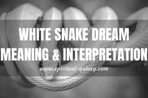 White Snake Dream Meaning & Interpretation: Detailed Guide!