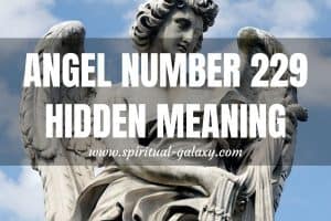 Angel Number 229 Hidden Meaning: Express Yourself More Often
