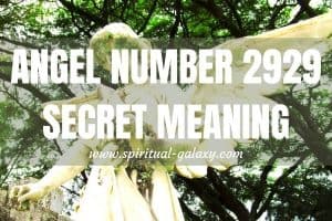 Angel Number 2929 Secret Meaning: Consider Being A Leader