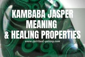 Kambaba Jasper Meaning: Healing Properties, Benefits & Uses 