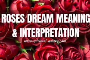 Roses Dream Meaning & Interpretation: Comprehensive Dream Guide