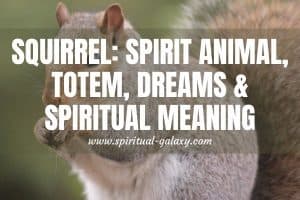 Squirrel Spirit Animal, Spiritual Meaning & Symbolism