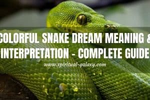 Colored Snake Dream Meaning & Interpretation: This May Surprise You