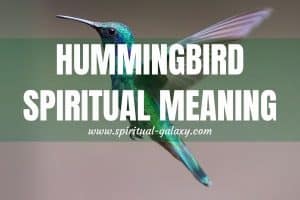 Hummingbird Spiritual Meaning & Symbolism: Achieve Your Desires