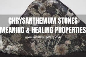 Chrysanthemum Stone Meaning: Healing Properties, Benefits & Uses