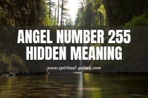 Angel Number 255 Secret Meaning: Period Of Change And Growth