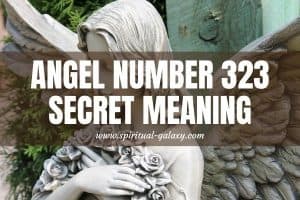 Angel Number 323 Secret Meaning: Powerful Message For Love