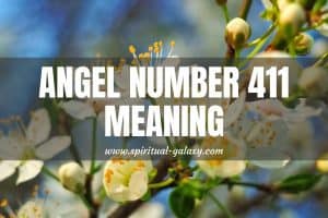 Angel Number 411 Hidden Meaning: Freedom to Choose