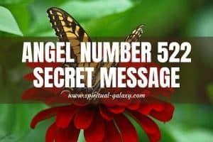 Angel Number 522 Secret Meaning: Your Gut Is Probably Right!
