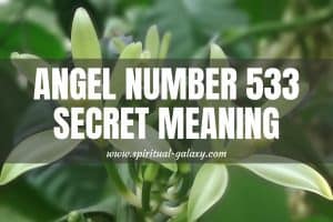 Angel Number 533 Secret Meaning: Do What Makes You Happy!