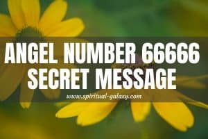 Angel Number 66666 Secret Meaning: Not Everyone Sees This!