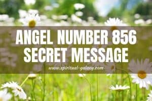 Angel Number 856 Secret Meaning: Genuinity And Dependence