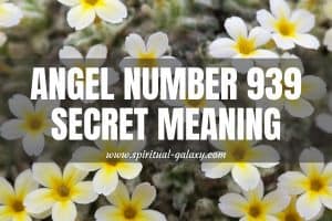 Angel Number 939 Secret Meaning; Share Your Knowledge