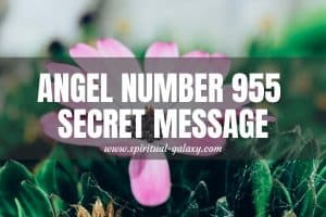 Angel Number 955 Secret Meaning: Search Freedom