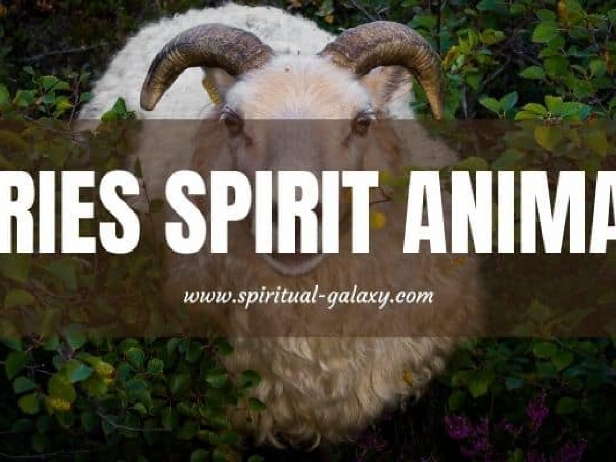 Aries Spirit Animal: The Fierce Animals 