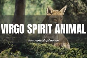 Virgo Spirit Animal: Why Is It The Fox?