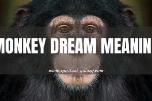 10 Monkey Dream Meaning: Plots & Explanations!