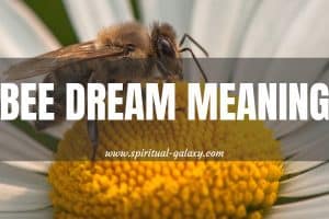 11 Bee Dream Meaning