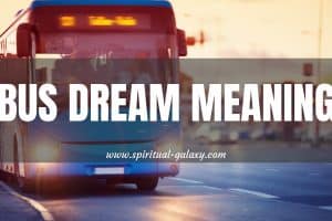 11 Best Bus Dream Meaning: Discover What These Are!