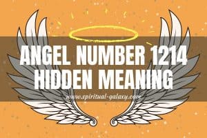 Angel Number 1214 Hidden Meaning: A Fruitful Year Ahead