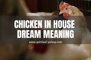 13 Chicken In House Dream Meaning: Thoroughly Explained!