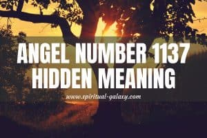 Angel Number 1137 Hidden Meaning: Opportunity In Life
