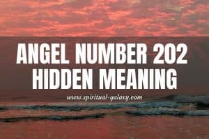 Angel Number 202 Hidden Meaning: Your Positive Vibes