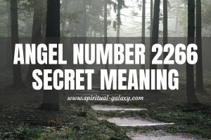 Angel Number 2266 Secret Meaning: Show Gratitude