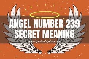 Angel Number 239 Secret Meaning: Changes Are New Beginnings