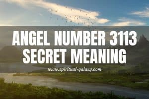 Angel Number 3113 Secret Meaning: Begin On Your Chosen Route
