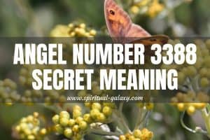 Angel Number 3388 Secret Meaning: Power To  Design Your Life