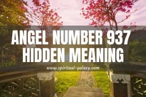 Angel Number 937 Hidden Meaning: Continue Your Current Path