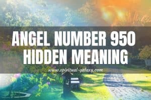 Angel Number 950 Hidden Meaning: Never Take This For Granted