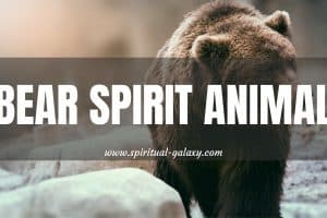 Bear Spirit Animal: Powerful Source Of Strength