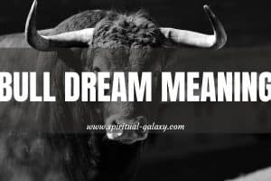 Bull Dream Meaning: Aggression, Competition, And More!