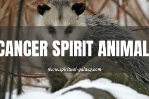 Cancer Spirit Animal: Not The Ones You Are Thinking Of!